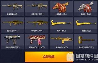 cf最新10月活动爆料,揭秘最新活动爆料，福利大放送！